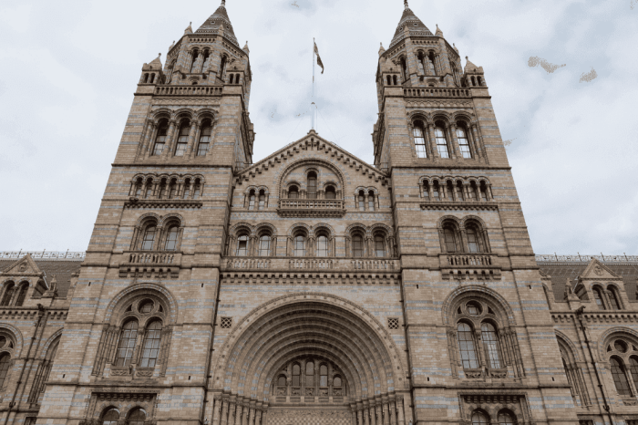 National History Museum London Self-Guided Tour