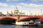 Thames Cruise from Westminster to Tower Bridge