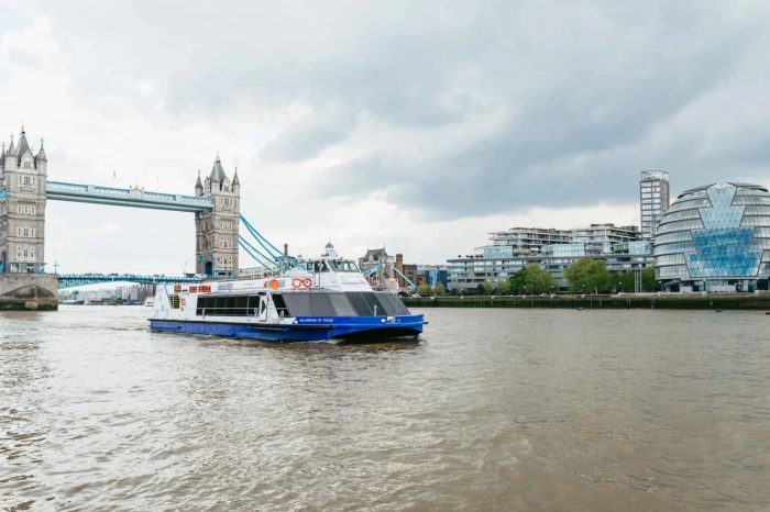 Thames Hop On Hop Off River Cruise