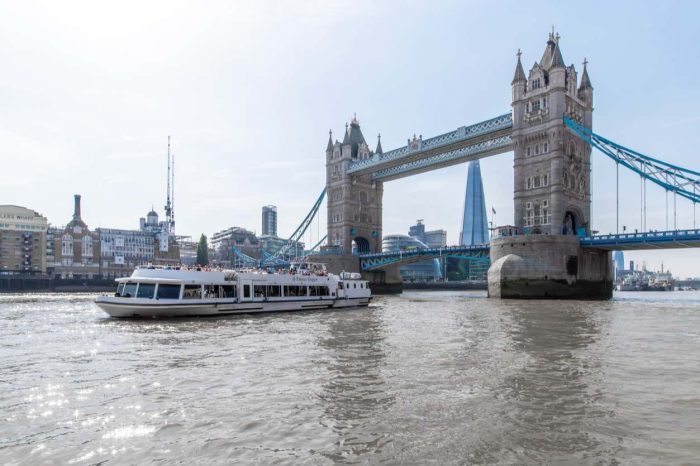 Thames Cruise from Westminster to Tower Bridge