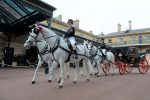 The Royal Mews Ticket