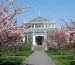 Pathway surrounded by cherry trees in bloom at Kew Gardens, a highlight of London tours in spring.