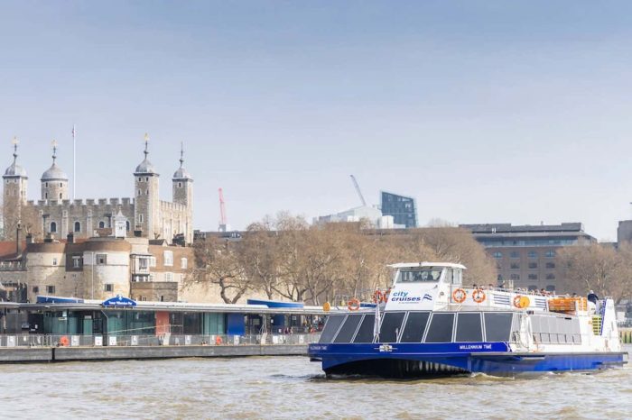 Thames Hop On Hop Off River Cruise