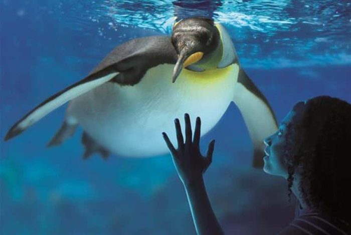 Sea Life London Aquarium Tickets